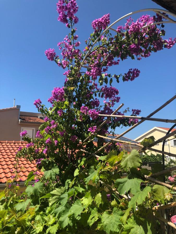 Apartmani Gloria Brodarica  Esterno foto