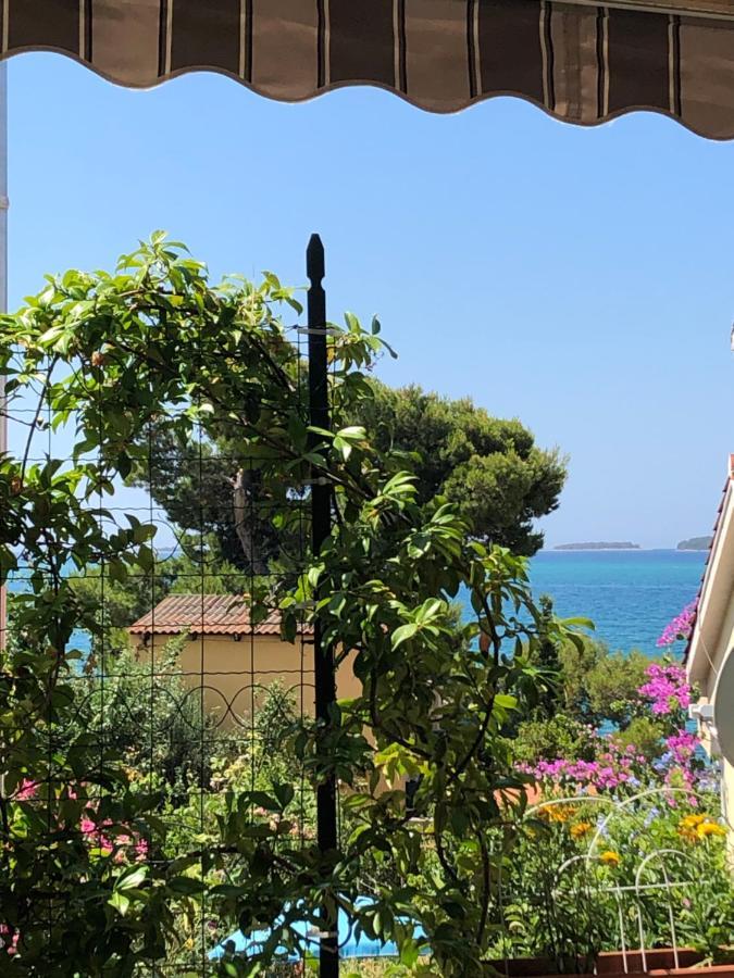 Apartmani Gloria Brodarica  Esterno foto